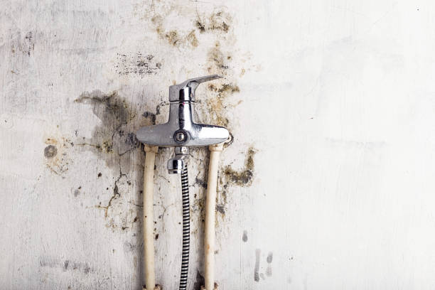 Best Mold Remediation for Specific Building Types in Margate City, NJ