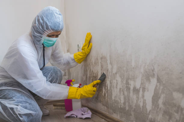 Margate City, NJ Mold Remediation Company